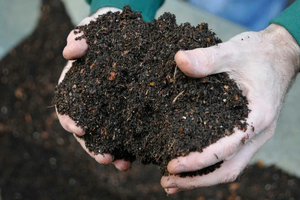 Compost wordt verkregen door aerobe fermentatie (met zuurstof) en werkt voornamelijk als bodemverbeteraar