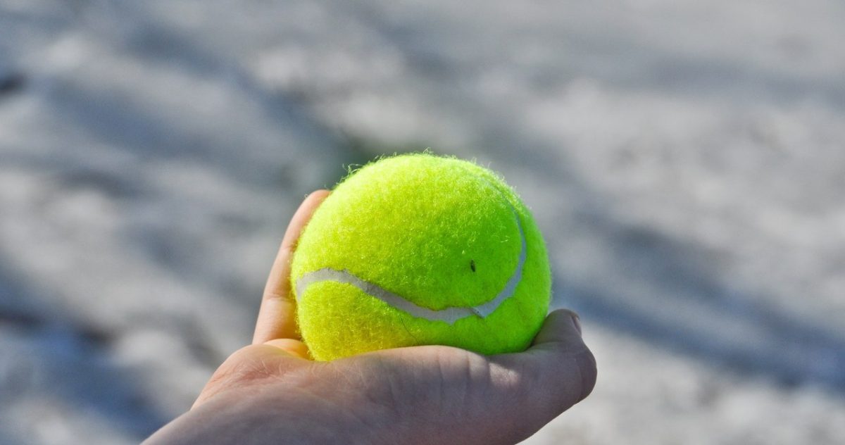 De tennisbal werkt als een natuurlijk antivriesmiddel dankzij zijn constante beweging.