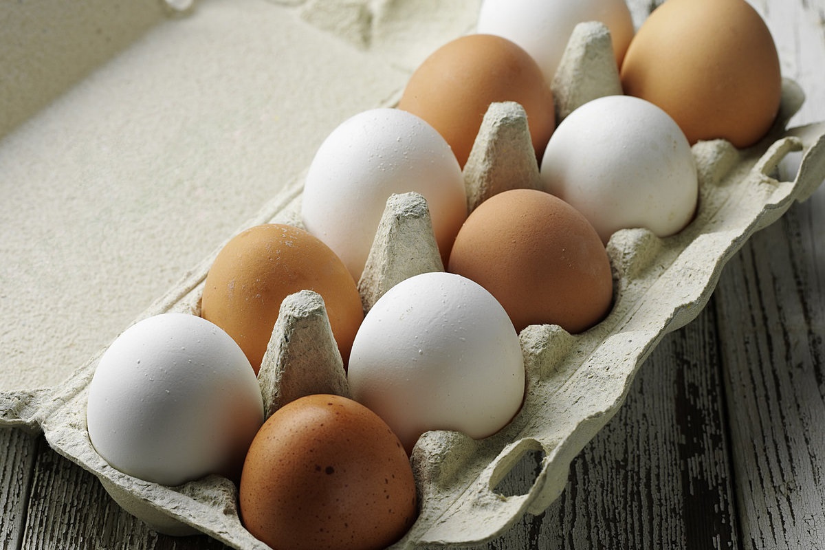 eieren in verpakking