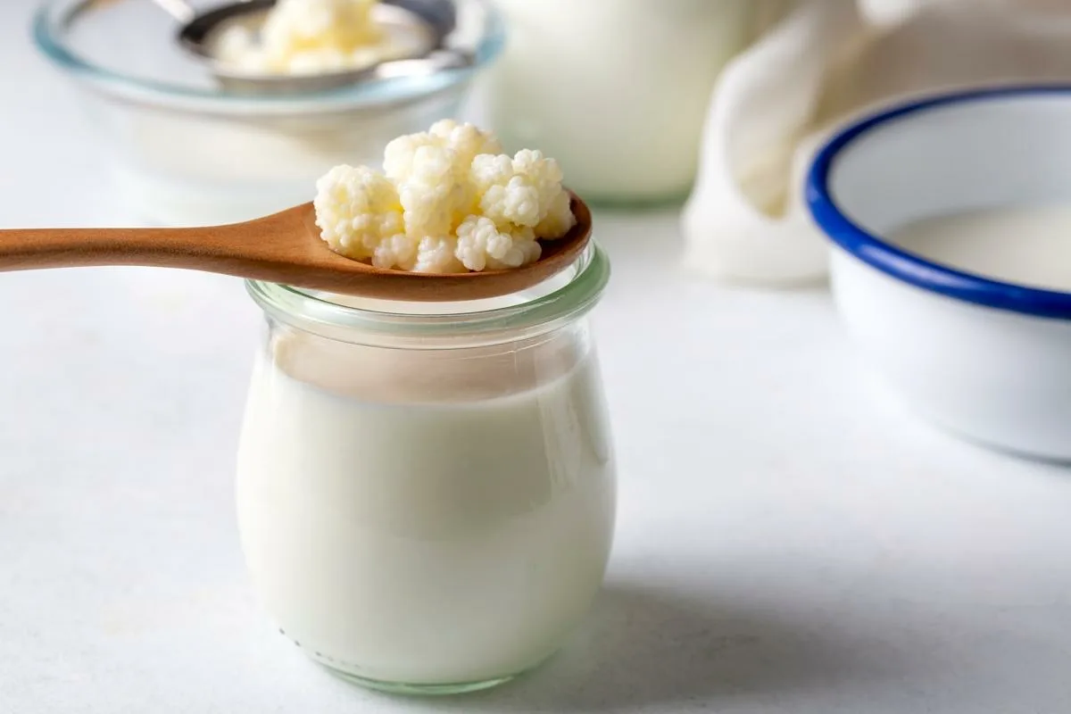Kefir wordt gemaakt van witte, gelatineachtige korrels