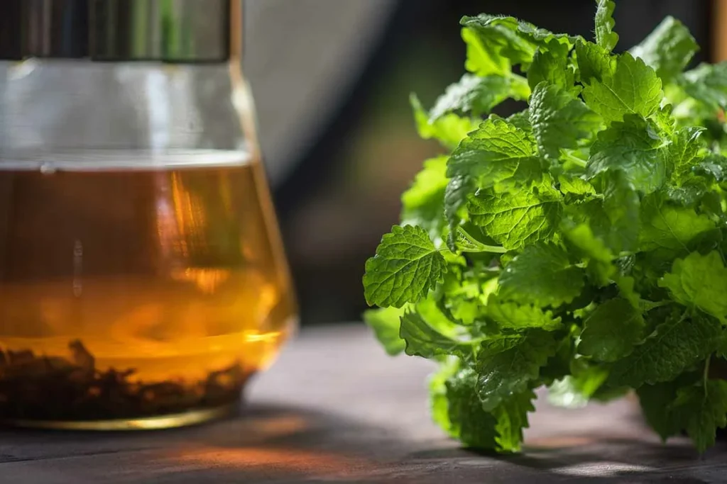 Melisse infusie