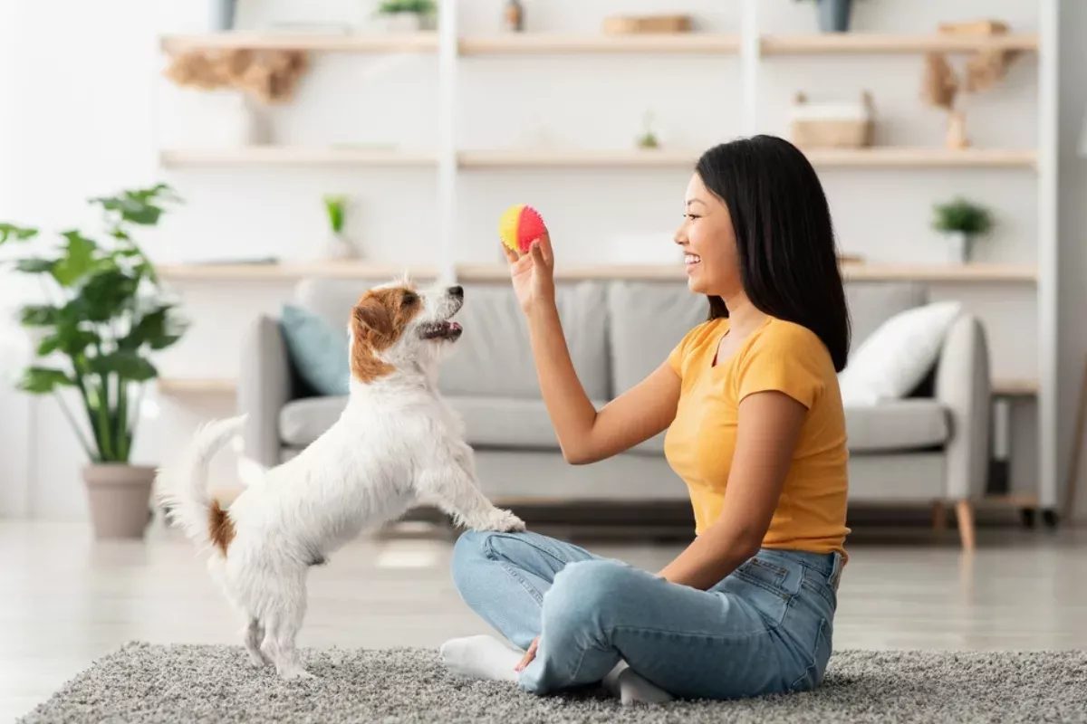 gemakkelijk voor honden