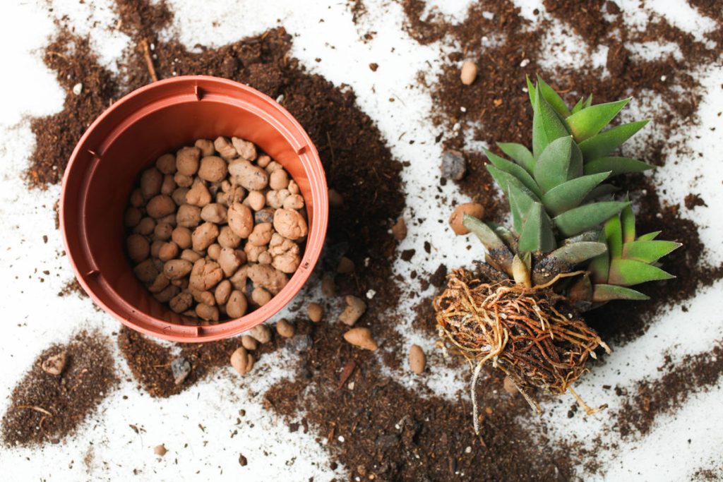 Voordelen van het gebruik van stenen in de potbodem