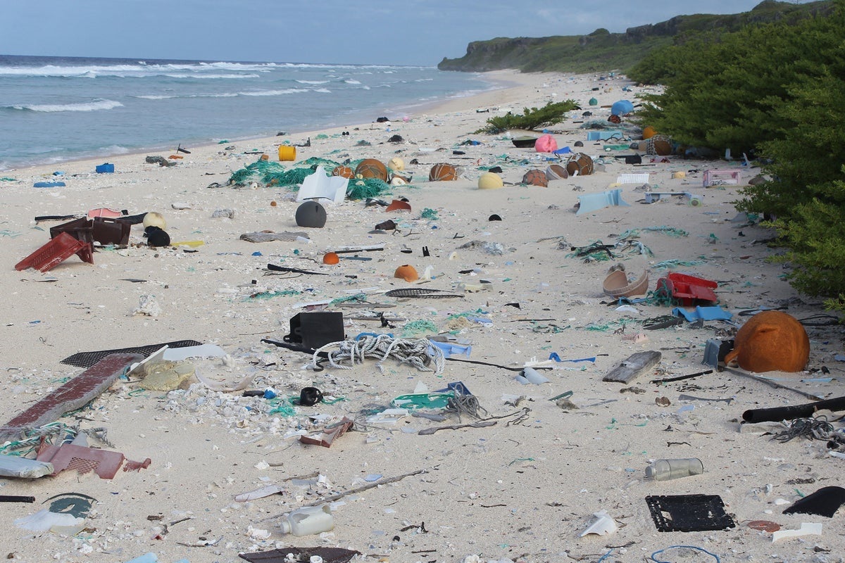 het hele strand ligt vol met afval