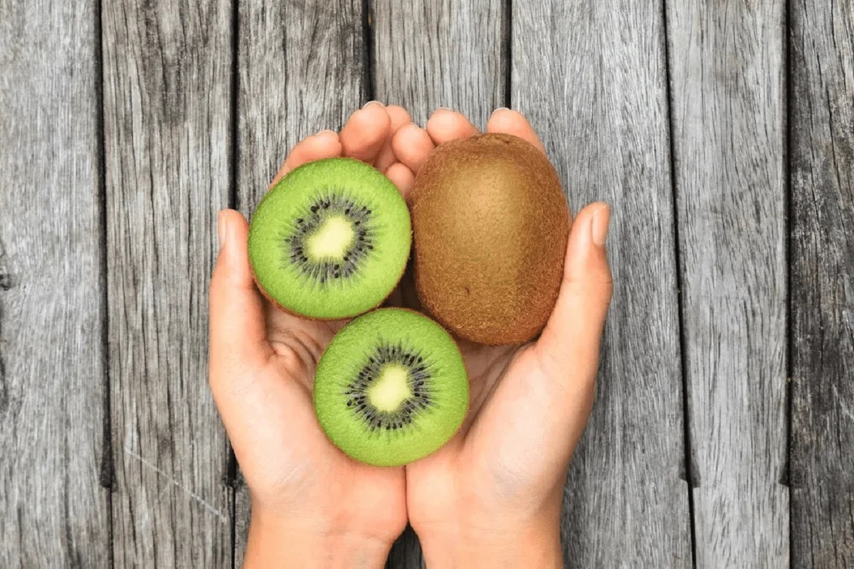 Kiwi houdt in zijn handen