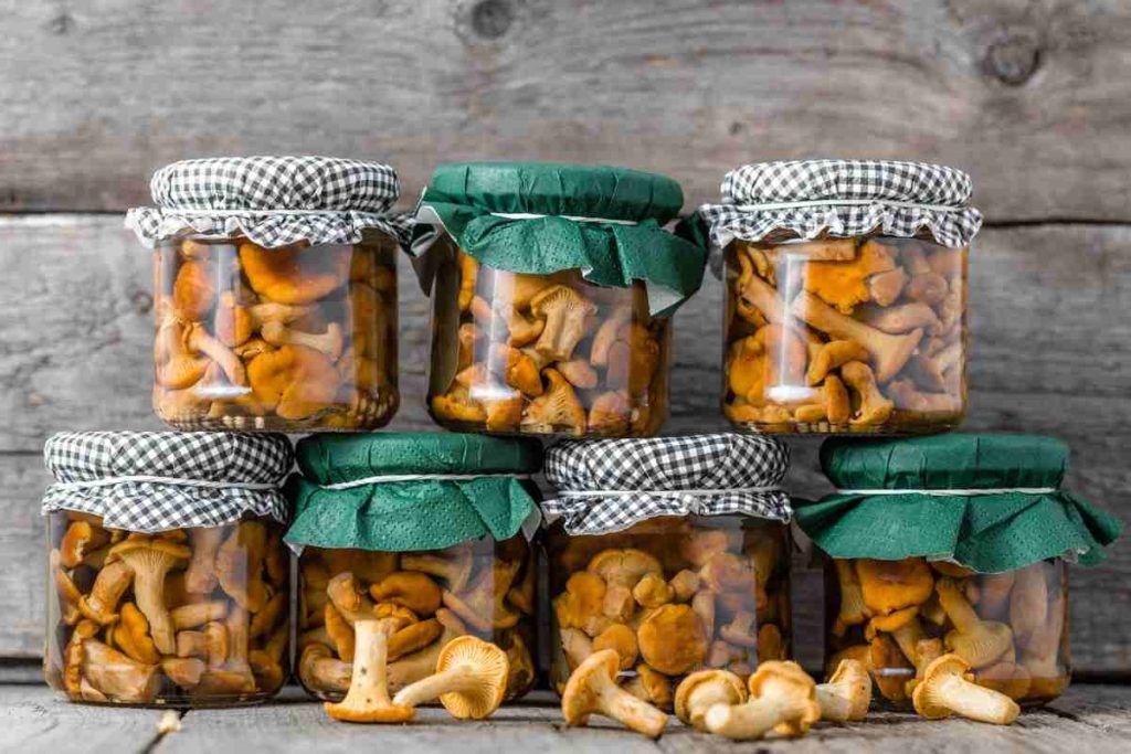 in potten paddenstoelen cantharellen