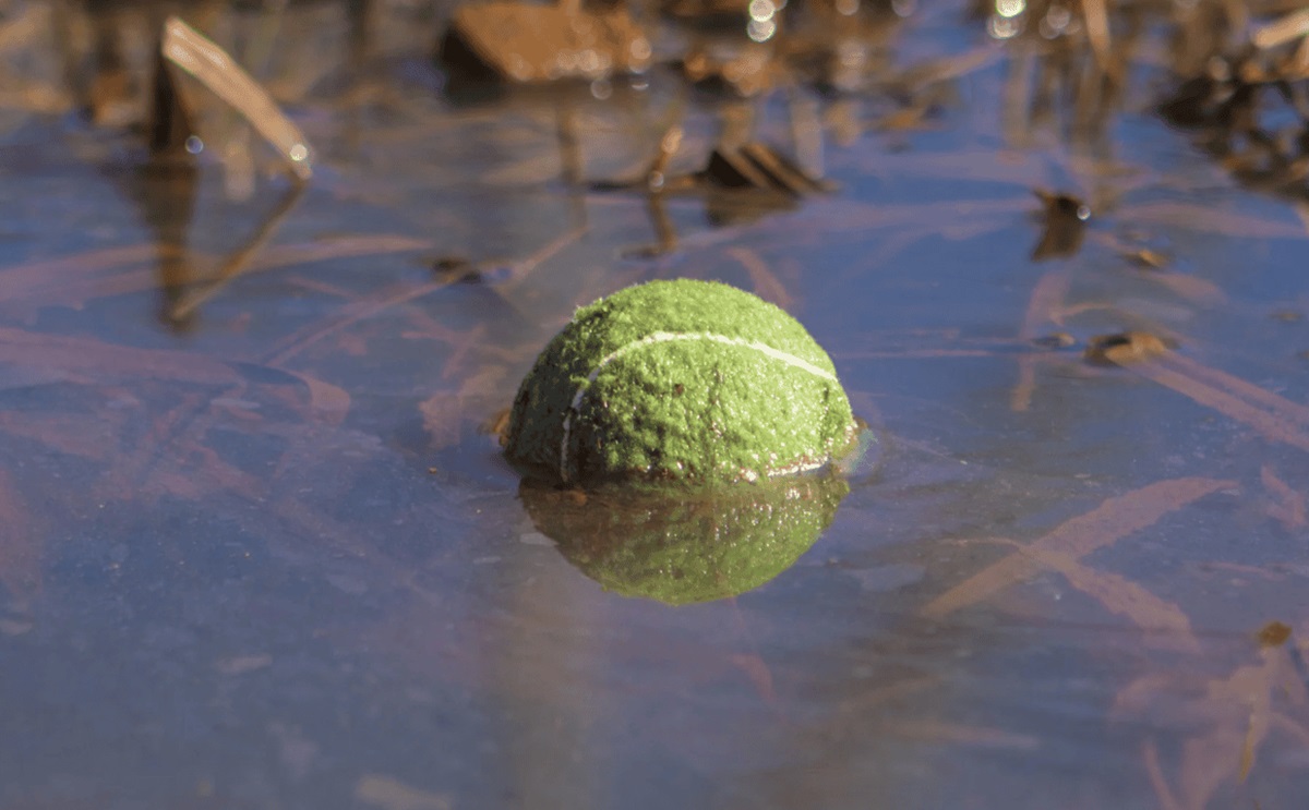 door op het oppervlak te drijven, houdt een tennisbal een kleine opening in het water open